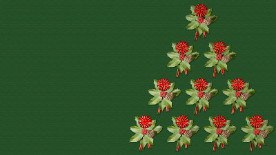 圣诞节。圣诞树鞠躬- 3D插图