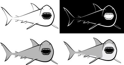 shark