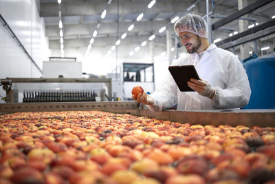食品加工厂技术人员控制苹果果实的选择和生产过程。