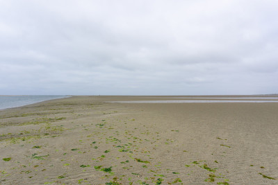退潮时瓦登海滩的景观