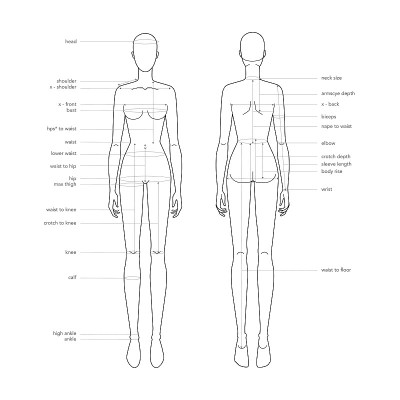 Women body parts terminology measurements Illustra