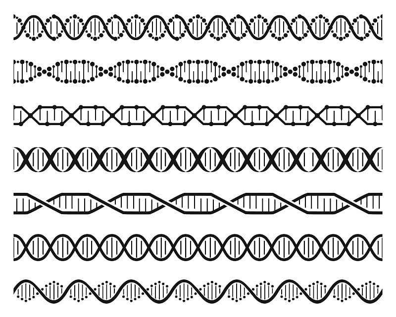 Dna螺旋链。双螺旋基因分子结构，人类遗传密码。Dna链分子序列无缝元素向量集