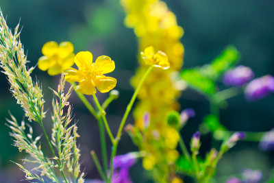 花