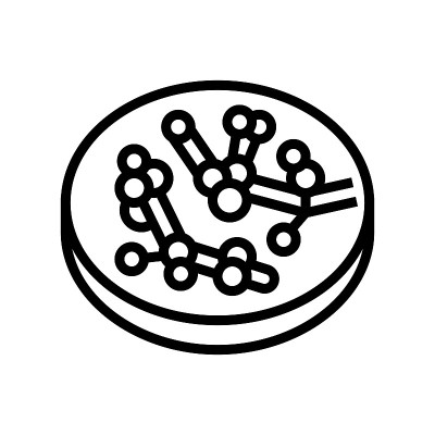 念珠菌真菌白色线图标矢量插图