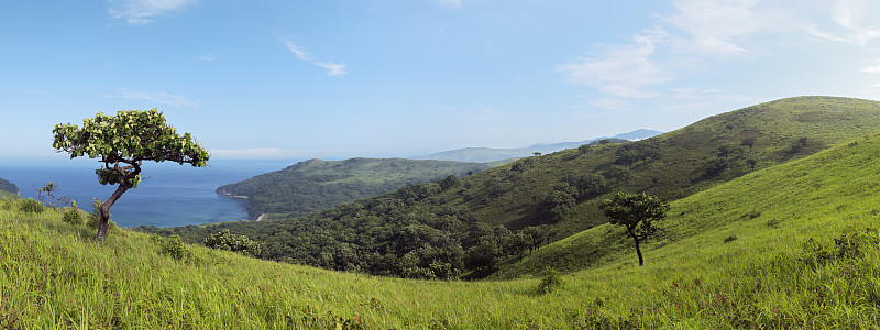 滨海景观，远东海洋保护区海岸全景