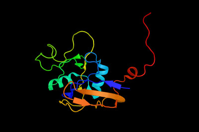 CD44是一种参与多种细胞功能的糖蛋白，包括淋巴细胞活化、循环和归巢、造血和肿瘤转移。三维渲染