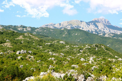 Cetinje,黑山。城市的观点。小镇的观点。
