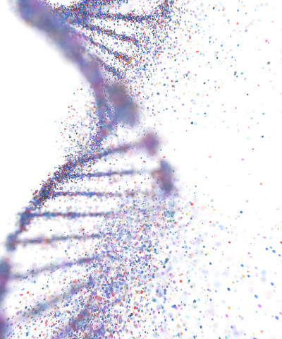 遗传疾病，DNA分子结构，遗传综合症