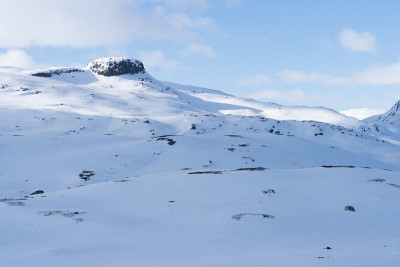 Haukelifjell，位于挪威南部Vinje和Røldal之间的Hardangervidda国家