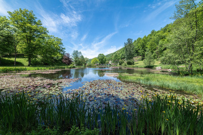 位于法国阿列日比利牛斯山的Erce pond