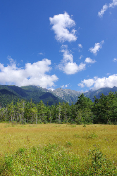 Kamikochi Tashiro沼泽