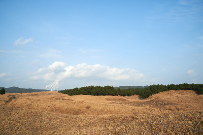 新都里海岸沙丘