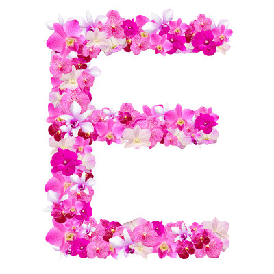 字母E来自孤立在白色上的兰花花
