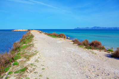 沿海道路