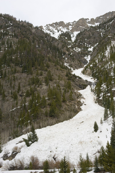新鲜的雪崩领域
