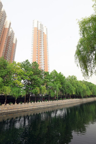 城市河流风景