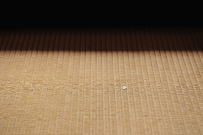 日本榻榻米地板