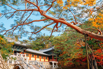 庆州枫叶佛国寺
