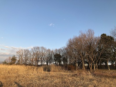 日本，你去卡卡加瓦市卡卡奥克湖日落