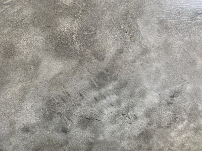 背景纹理水泥