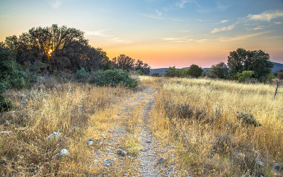Summer landscape on hilltop in Cevennes National P