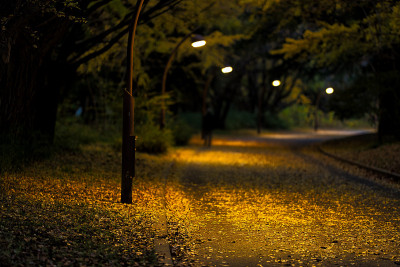 秋天的夜晚