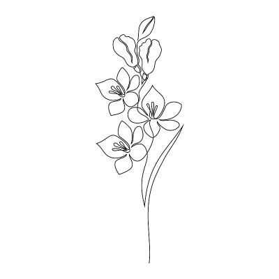 小苍兰花上白色
