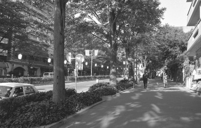 原宿和表参道