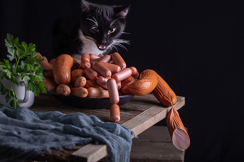 猫在桌子上吃香肠和香肠