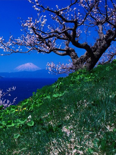 托雅湖的壮丽景色，它渴望Ezo Fuji