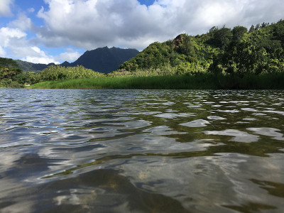 夏威夷考艾岛哈纳雷海湾的怀奥里河，进入太平洋。