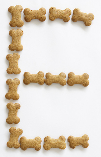 狗食字母E