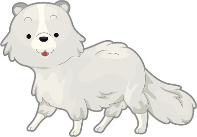 北极狐