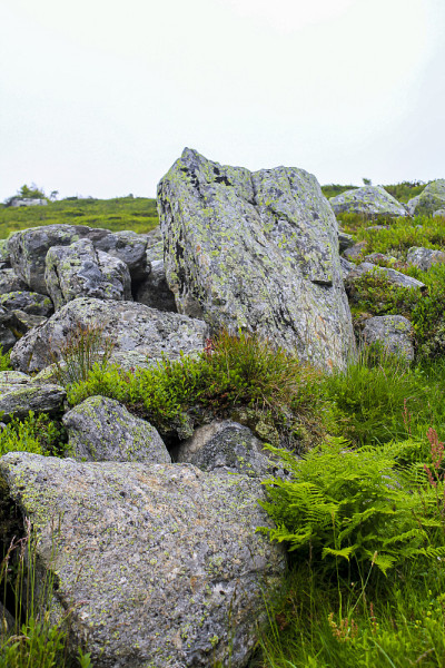 挪威Hemsedal vesleho ødn Veslehorn山的岩石和悬崖。