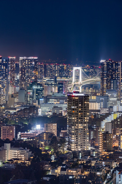 东京的夜景灯火通明