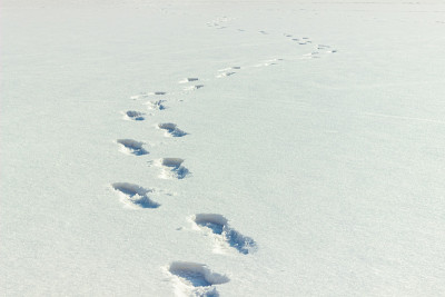雪地上的人类脚印