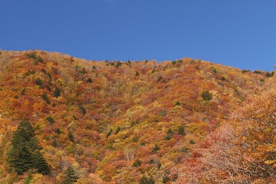 秋天的山