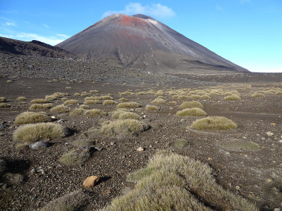 火山和山上的草。