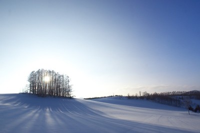 别的风景