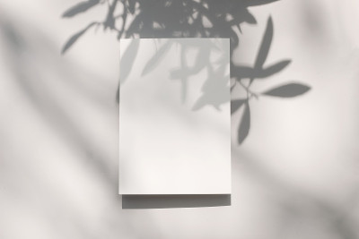 夏季文具模型场景。空白贺卡用橄榄树的叶子和树枝的阴影覆盖。白鸽表背景在阳光下。平躺，俯视图。现代地中