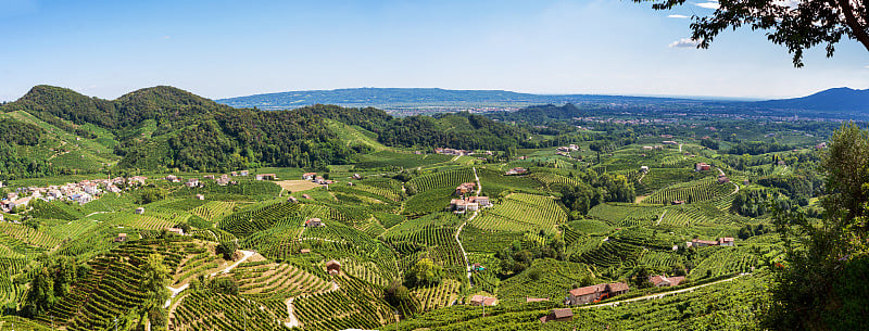 Valdobbiadene Treviso，意大利:山丘和葡萄园