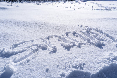 雪的笔迹文字
