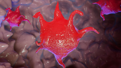 血小板，血细胞，3d渲染