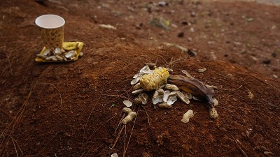 户外的垃圾只有剩下的花生、玉米和香蕉。