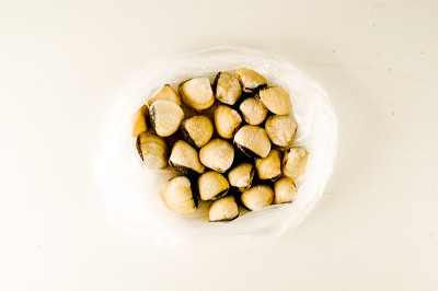 收集各种蛤壳