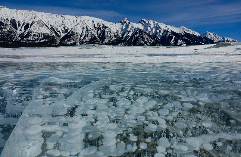 特写:在雪山下充满气泡的亚伯拉罕湖的壮观景象