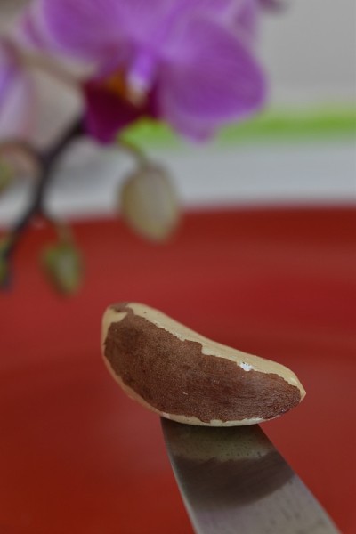 巴西坚果2
