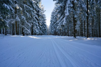 图林根州冬天的雪景