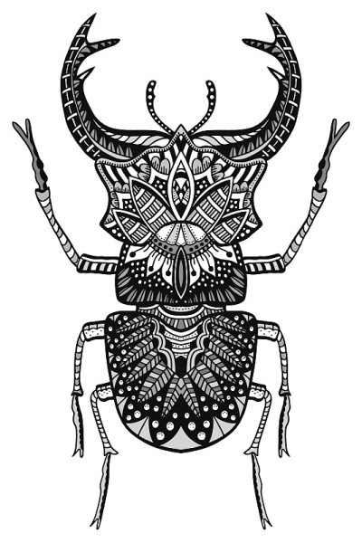 矢量手画Bug