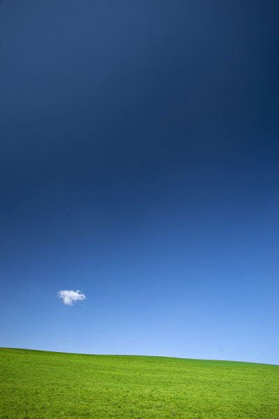 绿地